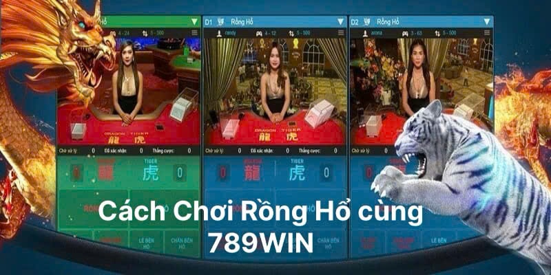 cách chơi rồng hổ